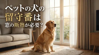 ペットの犬の留守番は窓の断熱が必要？