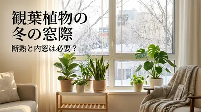 観葉植物の冬の窓際、断熱と内窓は必要？