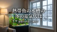 熱帯魚の水槽の冬の電気代は窓際の内窓で減る？
