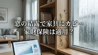 窓の結露で家具にカビ…家財保険は適用？